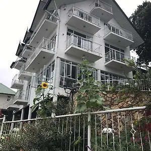 Misty Paradise Of Gregory , Nuwara Eliya Sri Lanka