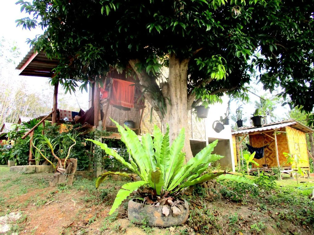 Asama Bungalow Ko Lanta Thailand